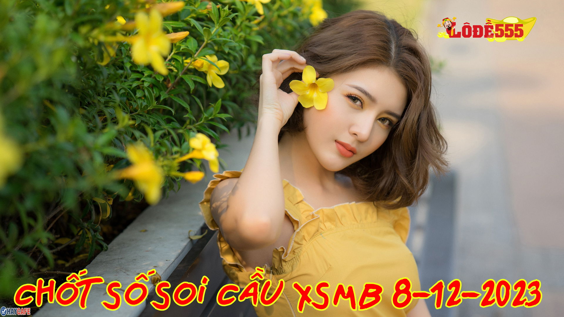  Soi Cầu XSMB 8-12-2023 | Dự Đoán Kết Quả Xổ Số Miền Bắc